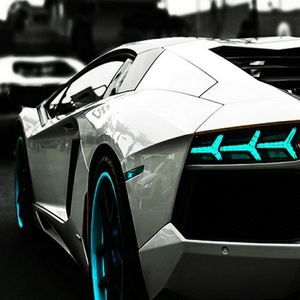 Meet your Posher, Carter